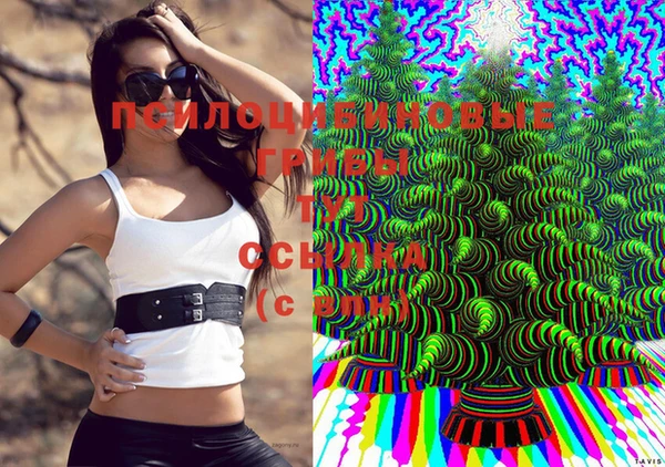 экстази Ладушкин