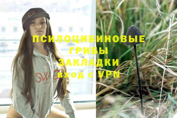 гидропоника Лабытнанги