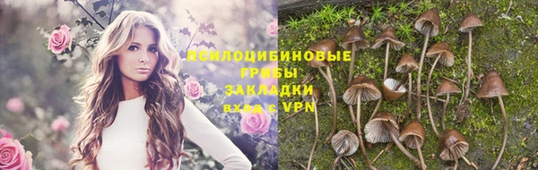 экстази Ладушкин