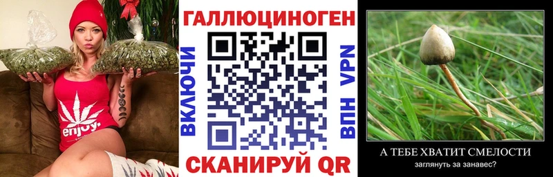 Псилоцибиновые грибы мухоморы  Купить где  Козьмодемьянск 